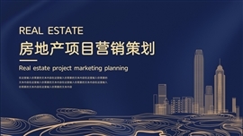 项目成本预算与营销策划整合方案